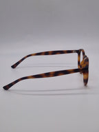 Specsavers Rhyl Sun 30690387 Tortoiseshell - Eyeglasses frames 