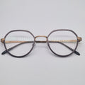 Gotti Switzerland GWIN SLS-BB Silver Colour - Eyeglasses frames
