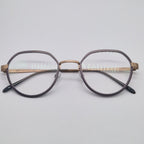 Gotti Switzerland GWIN SLS-BB Silver Colour - Eyeglasses frames