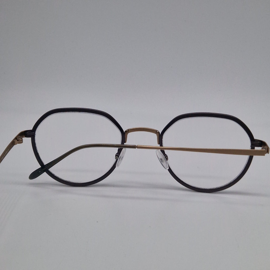 Gotti Switzerland GWIN SLS-BB Silver Colour - Eyeglasses frames