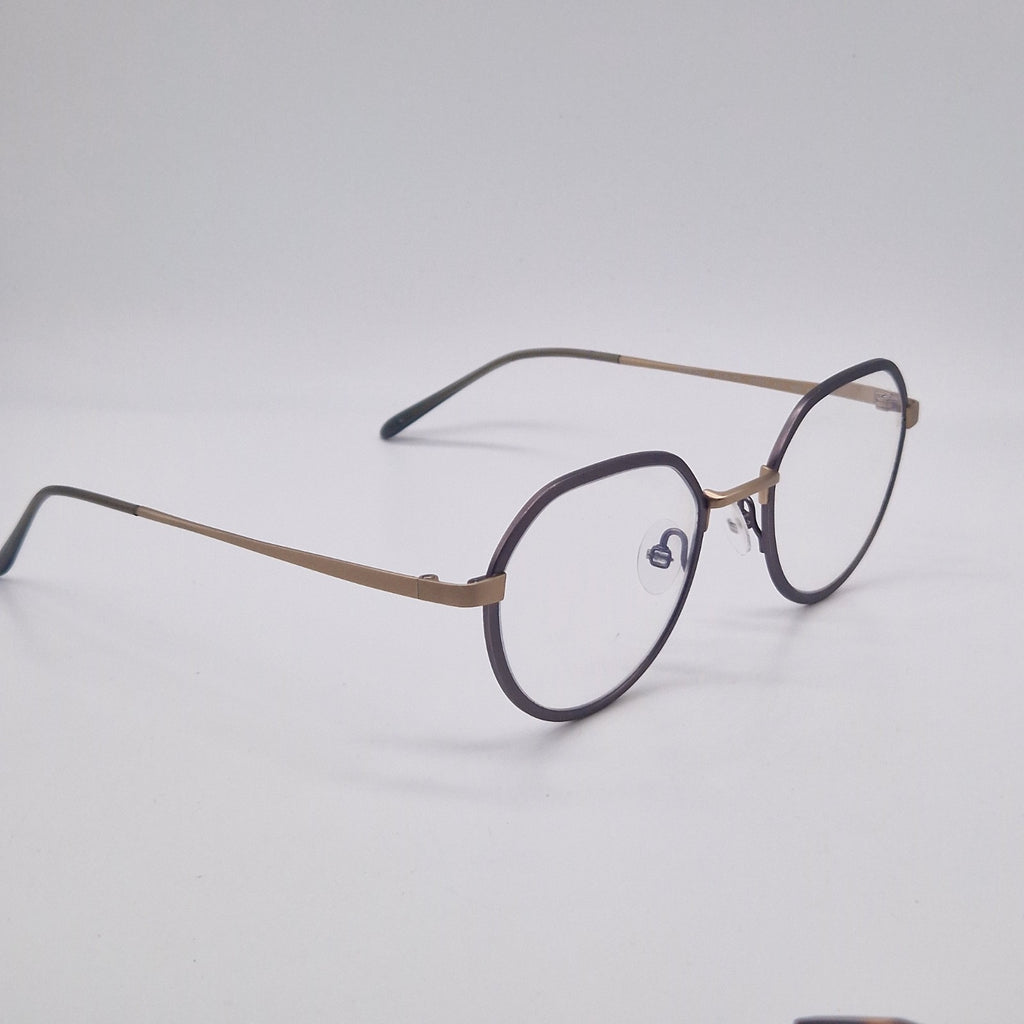 Gotti Switzerland GWIN SLS-BB Silver Colour - Eyeglasses frames