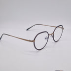 Gotti Switzerland GWIN SLS-BB Silver Colour - Eyeglasses frames