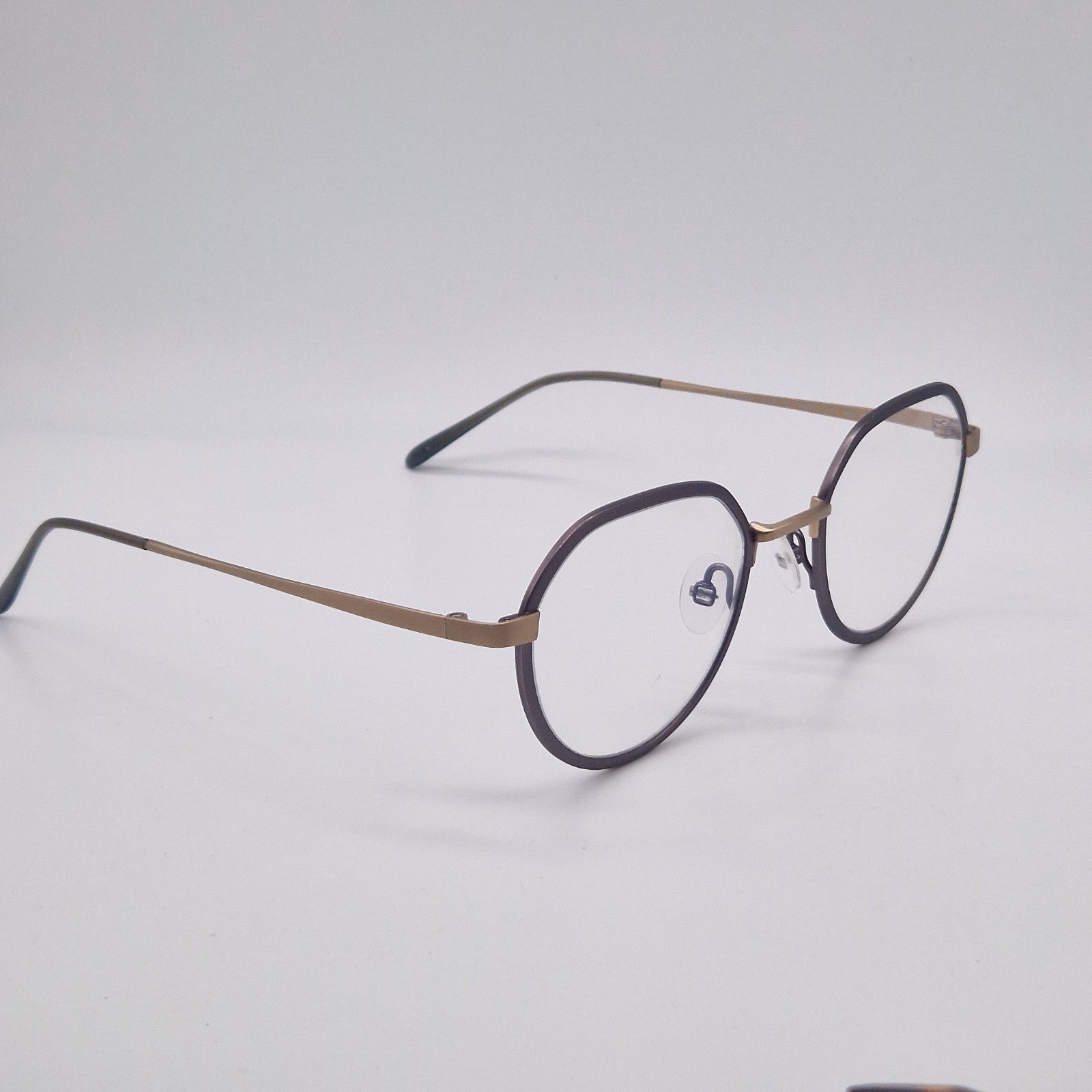 Gotti Switzerland GWIN SLS-BB Silver Colour - Eyeglasses frames