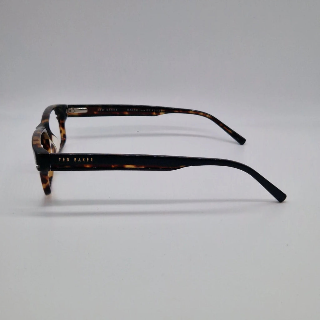 Ted Baker Compton 8079 072 Tortoiseshell - Eyeglasses frames