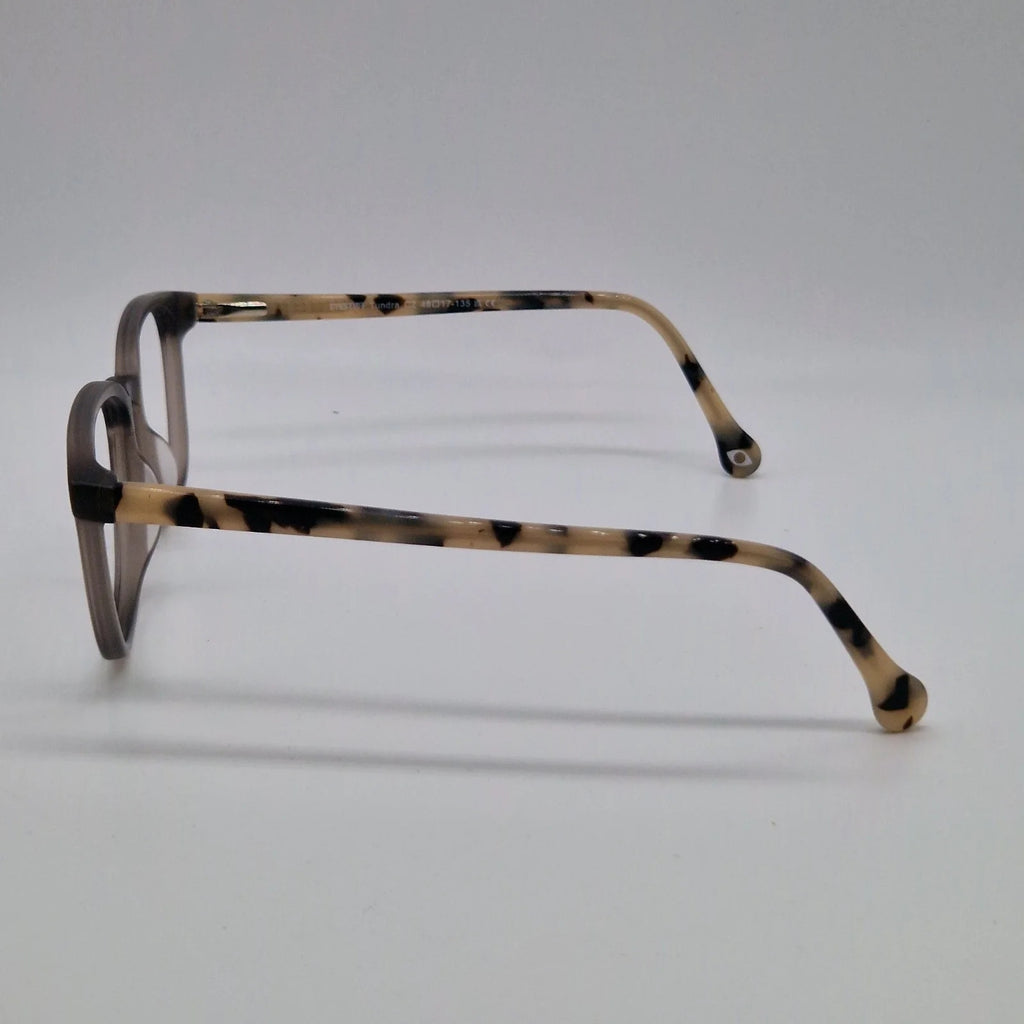 International Eyewear Eyestuff C2 Grey - Eyeglasses frames