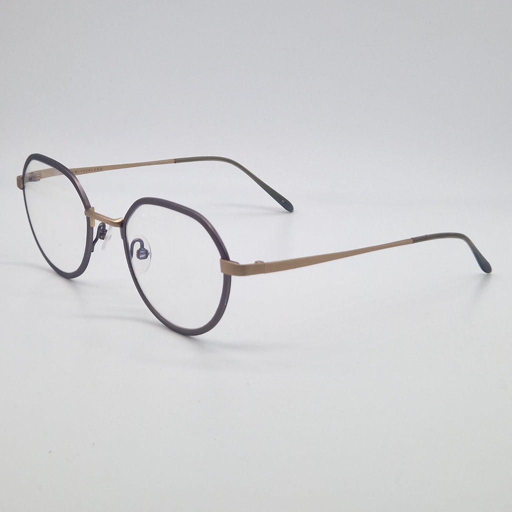 Gotti Switzerland GWIN SLS-BB Silver Colour - Eyeglasses frames