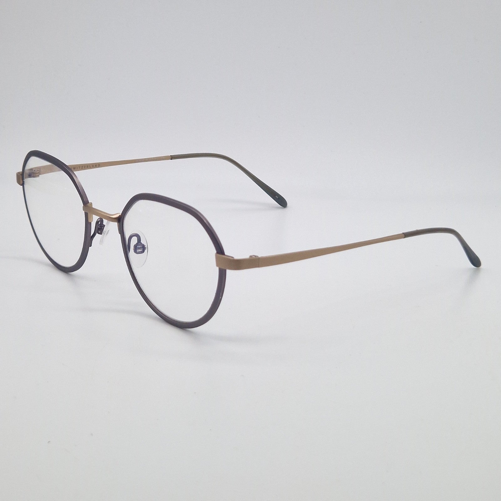 Gotti Switzerland GWIN SLS-BB Silver Colour - Eyeglasses frames