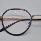 Gotti Switzerland GWIN SLS-BB Silver Colour - Eyeglasses frames